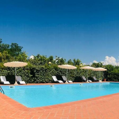 Villa Lavinia B&B Montescudaio Exterior photo