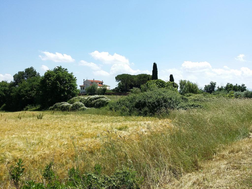 Villa Lavinia B&B Montescudaio Exterior photo